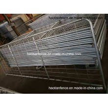 Puerta y cercas de acero de alta resistencia (malla de alambre soldada con autógena galvanizado en caliente 100X200mm)